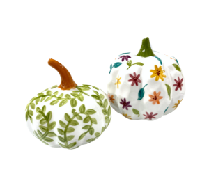 Fort Collins Fall Floral Gourds