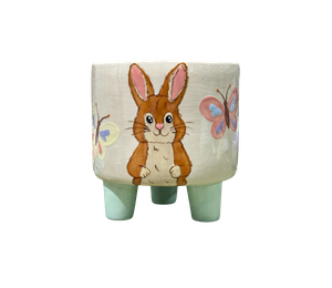 Fort Collins Hoppy's Garden Planter