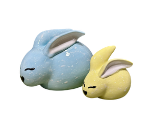 Fort Collins Fern & Sprout Bunnies